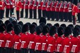 Trooping the Colour 2012: An excellent lineup of Guardsmen - No. 1 Guard, the Escort to the Colour..
Horse Guards Parade, Westminster,
London SW1,

United Kingdom,
on 16 June 2012 at 11:22, image #319