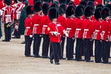 Trooping the Colour 2012: The Regimental Sergeant Major, with his sword still drawn, moves back to his original position..
Horse Guards Parade, Westminster,
London SW1,

United Kingdom,
on 16 June 2012 at 11:22, image #321