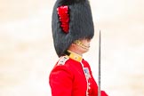 Trooping the Colour 2012: Close-up of the Adjutant of the Parade, Captain F O B Wells, Coldstream Guards..
Horse Guards Parade, Westminster,
London SW1,

United Kingdom,
on 16 June 2012 at 11:39, image #444