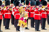 Trooping the Colour 2012: Senior Drum Major, M Betts, Grenadier Guards, during the March Past..
Horse Guards Parade, Westminster,
London SW1,

United Kingdom,
on 16 June 2012 at 11:39, image #448