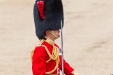 Trooping the Colour 2012: Close-up of the Field Officer in Brigade Waiting
Lieutenant Colonel R C N Sergeant, Coldstream Guards..
Horse Guards Parade, Westminster,
London SW1,

United Kingdom,
on 16 June 2012 at 11:45, image #481