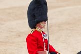 Trooping the Colour 2012: Close-up of the Major of the Parade, Major Mark Lewis, Welsh Guards..
Horse Guards Parade, Westminster,
London SW1,

United Kingdom,
on 16 June 2012 at 11:45, image #482