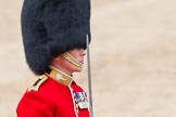 Trooping the Colour 2012: Close-up of the Major of the Parade, Major Mark Lewis, Welsh Guards..
Horse Guards Parade, Westminster,
London SW1,

United Kingdom,
on 16 June 2012 at 11:45, image #483