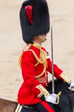 Trooping the Colour 2012: Close-up of the Field Officer in Brigade Waiting
Lieutenant Colonel R C N Sergeant, Coldstream Guards..
Horse Guards Parade, Westminster,
London SW1,

United Kingdom,
on 16 June 2012 at 11:45, image #484