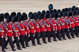 Trooping the Colour 2012: The March Past in Quick Time, here No. 5 Guard, 
1st Battalion Irish Guards..
Horse Guards Parade, Westminster,
London SW1,

United Kingdom,
on 16 June 2012 at 11:46, image #495