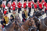 Trooping the Colour 2012: Riding instructors from the Royal Horse Artillery during the Ride Past..
Horse Guards Parade, Westminster,
London SW1,

United Kingdom,
on 16 June 2012 at 11:55, image #548