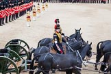Trooping the Colour 2012: Saluting with the whip - Royal Horse Artillery during the Ride Past..
Horse Guards Parade, Westminster,
London SW1,

United Kingdom,
on 16 June 2012 at 11:55, image #552
