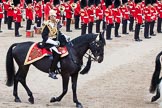 Trooping the Colour 2012: Escort Commander Captain S S Lukas, The Blues and Royals, during the Ride Past..
Horse Guards Parade, Westminster,
London SW1,

United Kingdom,
on 16 June 2012 at 11:55, image #558