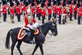 Trooping the Colour 2012: A Captain (Captain A A Wallis?) from The Life Guards at the Ride Past..
Horse Guards Parade, Westminster,
London SW1,

United Kingdom,
on 16 June 2012 at 11:56, image #564