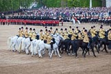 Trooping the Colour 2012: The Ride Past: The Household Cavalry Mounted Bands are joining in, following The Life Guards (right centre of this image) and The Blues and Royals (left centre)..
Horse Guards Parade, Westminster,
London SW1,

United Kingdom,
on 16 June 2012 at 12:01, image #602