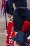 Trooping the Colour 2012: HRH The Duke of Edinburgh in focus, in front HRH The Duke of Kent and HRH The Princess Royal..
Horse Guards Parade, Westminster,
London SW1,

United Kingdom,
on 16 June 2012 at 12:03, image #614