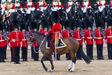 Trooping the Colour 2012: The Field Officer in Brigade Waiting, Lieutenant Colonel R C N Sergeant, Coldstream Guards, riding Burniston, is turning towards the guardsmen..
Horse Guards Parade, Westminster,
London SW1,

United Kingdom,
on 16 June 2012 at 12:03, image #615