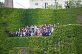 Trooping the Colour 2012: Spectators on the ivy covered Citadel stand during the National Anthem..
Horse Guards Parade, Westminster,
London SW1,

United Kingdom,
on 16 June 2012 at 12:04, image #618