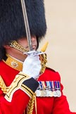 Trooping the Colour 2012: The Field Officer in Brigade Waiting, Lieutenant Colonel R C N Sergeant, Coldstream Guards, informing Her Majesty that Her Guards are ready to march off..
Horse Guards Parade, Westminster,
London SW1,

United Kingdom,
on 16 June 2012 at 12:08, image #639