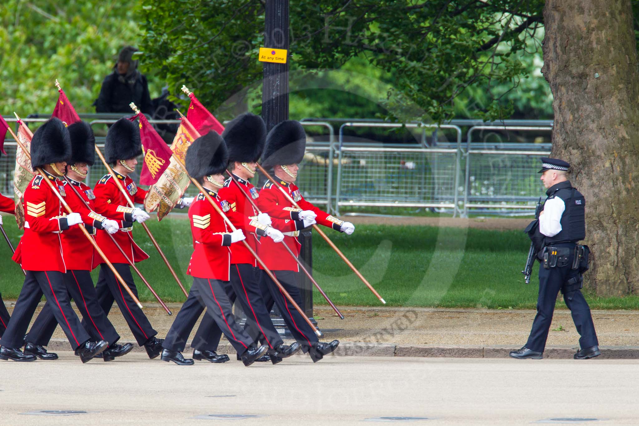 The Colonel's Review 2013: The 'Keepers of the Ground', guardsmen bearing marker flags for their respective regiments, marching on Horse Guards Road along St James's Park..
Horse Guards Parade, Westminster,
London SW1,

United Kingdom,
on 08 June 2013 at 09:52, image #18