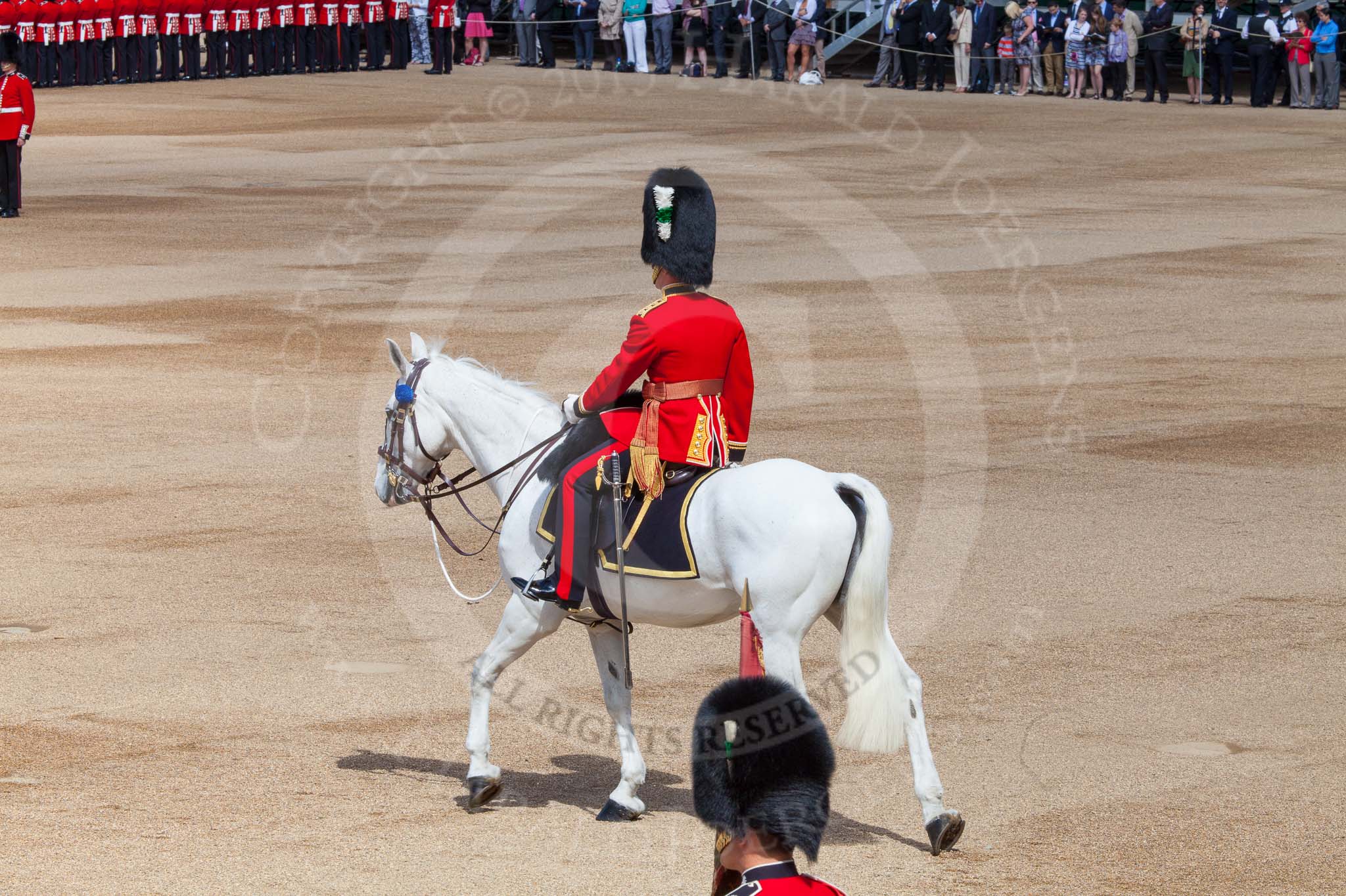 The Colonel's Review 2013: The Adjutant of the Parade, Captain C J P Davies, Welsh Guards..
Horse Guards Parade, Westminster,
London SW1,

United Kingdom,
on 08 June 2013 at 10:35, image #163