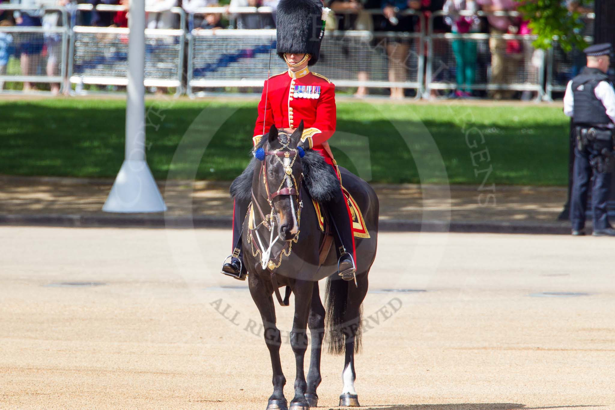 The Colonel's Review 2013: The Major of the Parade, Major H G C Bettinson, Welsh Guards..
Horse Guards Parade, Westminster,
London SW1,

United Kingdom,
on 08 June 2013 at 10:42, image #199