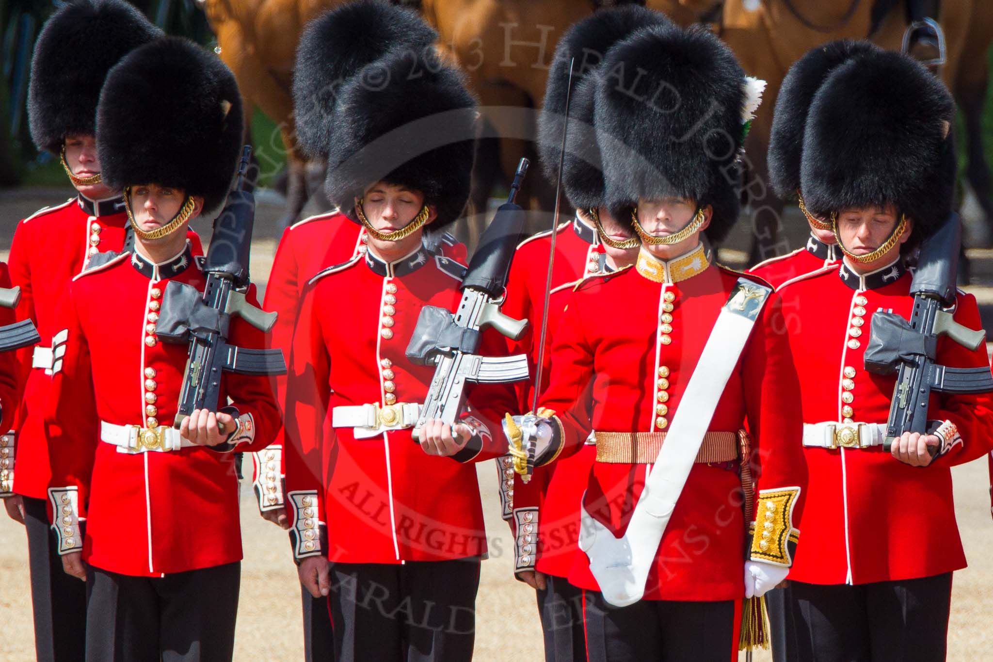 The Colonel's Review 2013: No. 1 Guard (Escort for the Colour),1st Battalion Welsh Guards, with the Ensign,Second Lieutenant Joel Dinwiddle..
Horse Guards Parade, Westminster,
London SW1,

United Kingdom,
on 08 June 2013 at 10:42, image #202