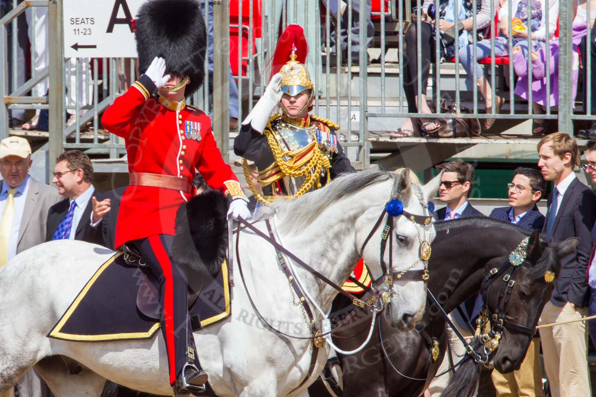 The Colonel's Review 2013.
Horse Guards Parade, Westminster,
London SW1,

United Kingdom,
on 08 June 2013 at 10:59, image #277