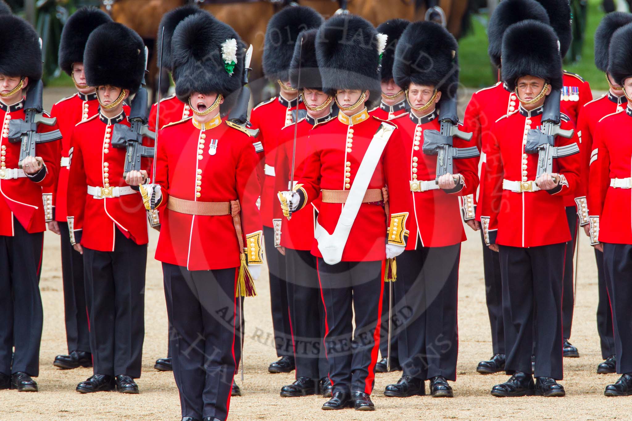 The Colonel's Review 2013: Captain F O Lloyd-George gives the orders for No. 1 Guard (Escort for the Colour),1st Battalion Welsh Guards to move into close order..
Horse Guards Parade, Westminster,
London SW1,

United Kingdom,
on 08 June 2013 at 11:15, image #480