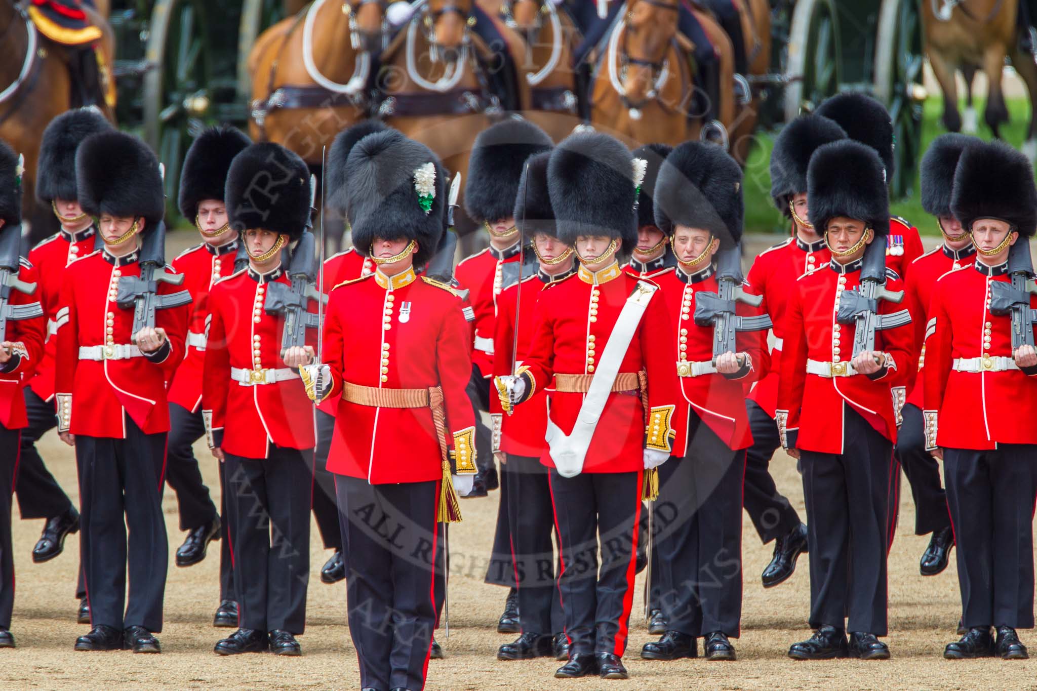 The Colonel's Review 2013: Captain F O Lloyd-George gives the orders for No. 1 Guard (Escort for the Colour),1st Battalion Welsh Guards to move into close order..
Horse Guards Parade, Westminster,
London SW1,

United Kingdom,
on 08 June 2013 at 11:15, image #481