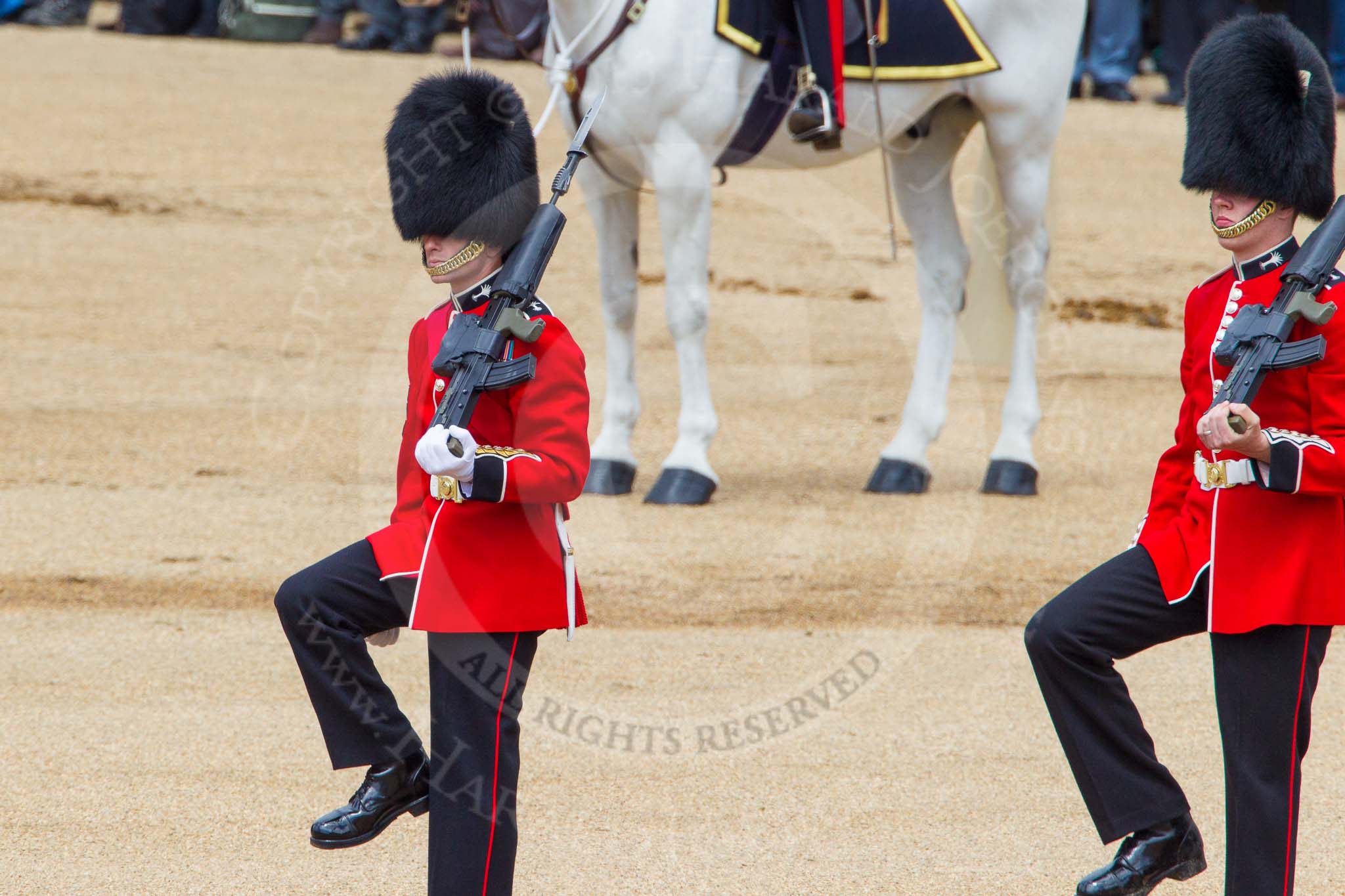 The Colonel's Review 2013: The second (unnamed) sentry, presenting arms whilst the National Anthem is played..
Horse Guards Parade, Westminster,
London SW1,

United Kingdom,
on 08 June 2013 at 11:20, image #532