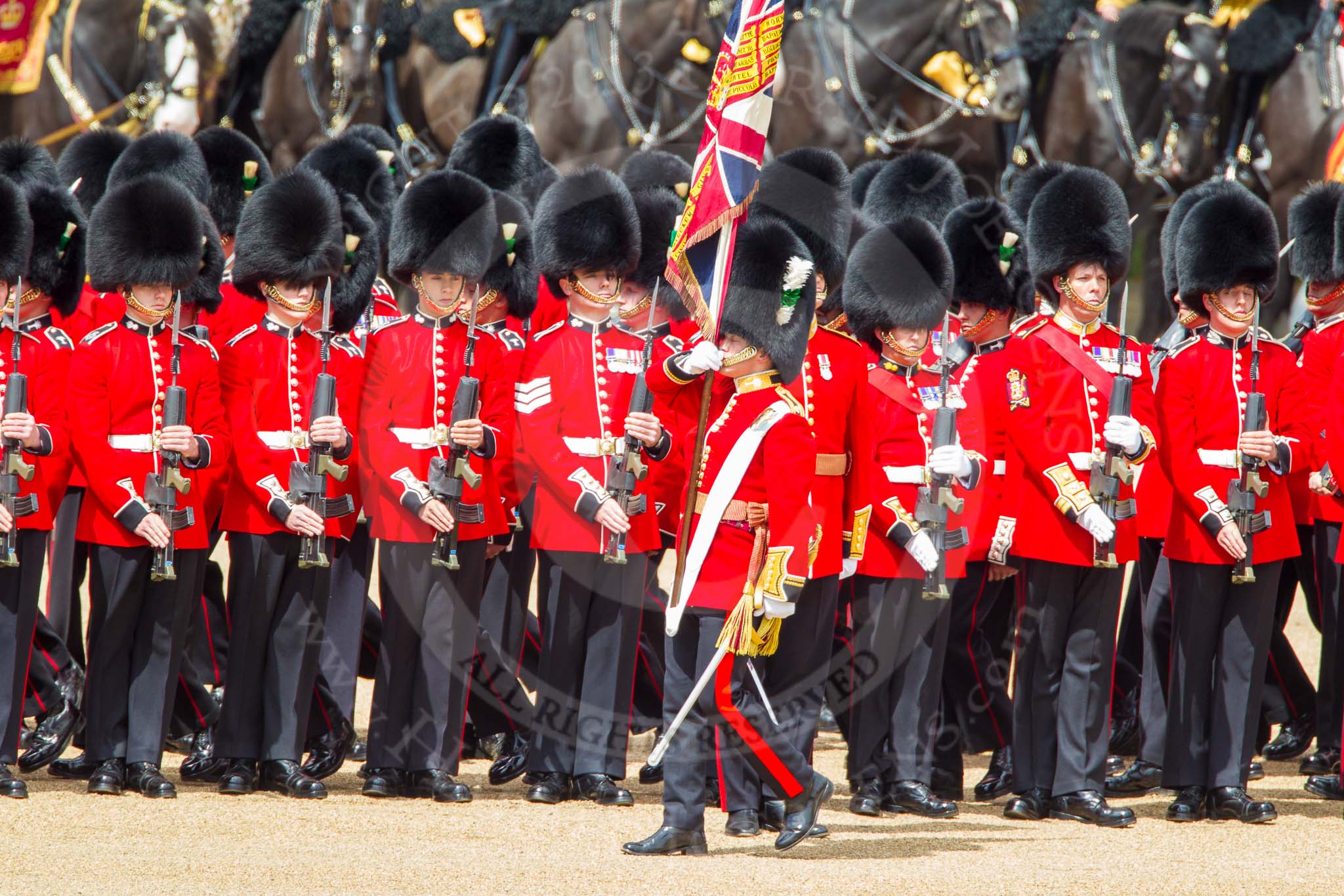 The Colonel's Review 2013: The Escort to the Colour troops the Colour along the ranks..
Horse Guards Parade, Westminster,
London SW1,

United Kingdom,
on 08 June 2013 at 11:24, image #572