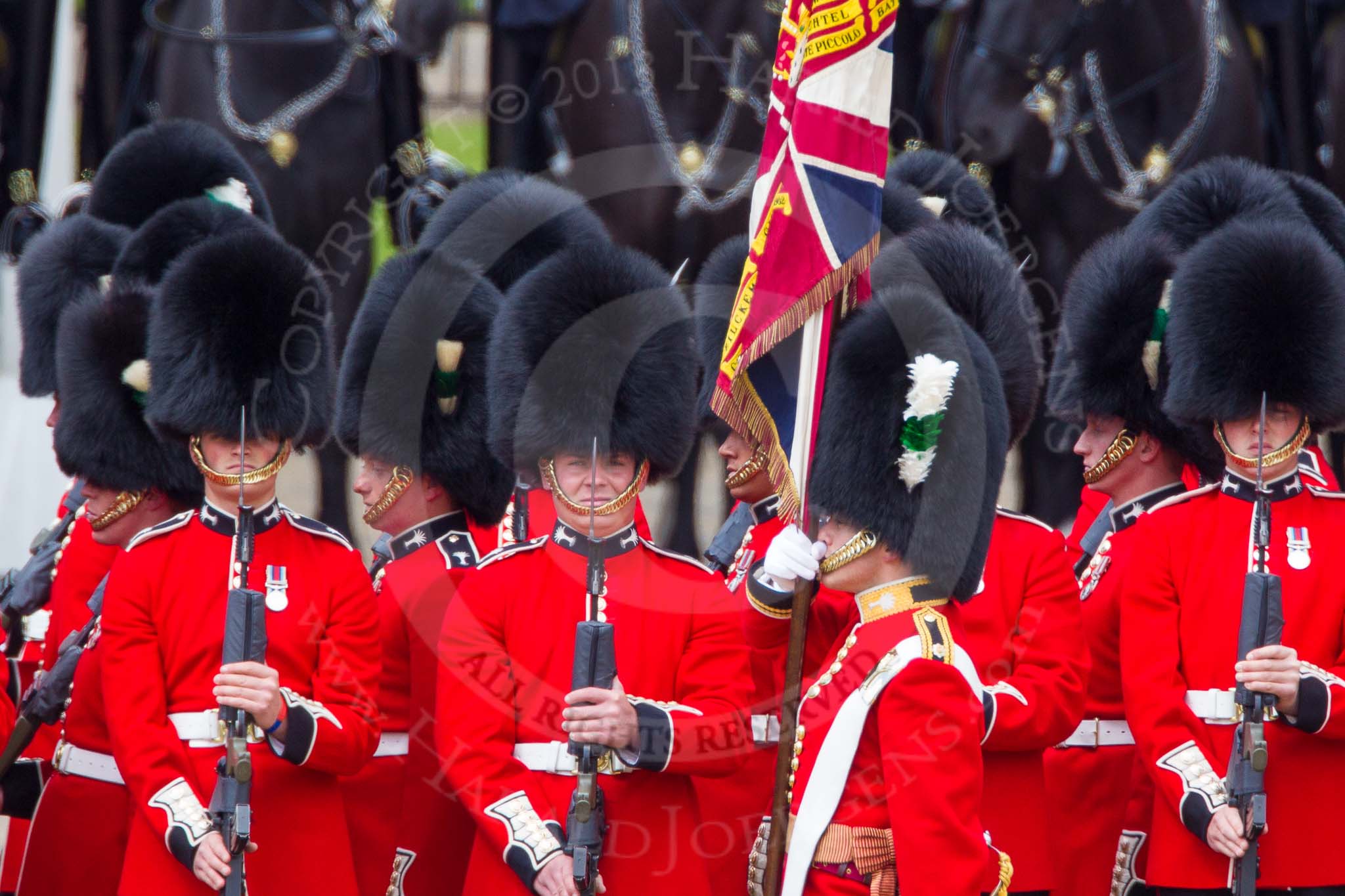 The Colonel's Review 2013: The Ensign troops the Colour along No. 2 Guard, 1st Battalion Welsh Guards..
Horse Guards Parade, Westminster,
London SW1,

United Kingdom,
on 08 June 2013 at 11:25, image #581