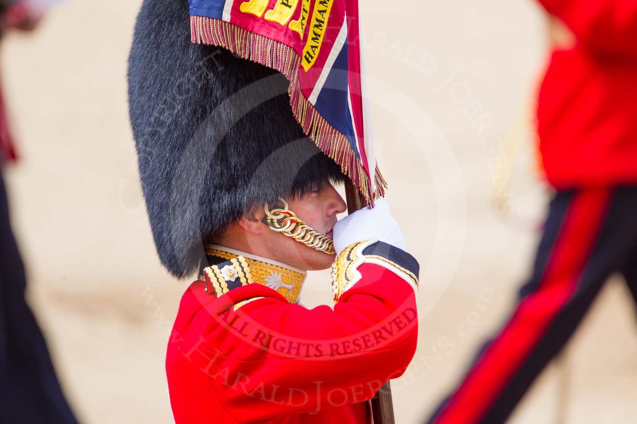 The Colonel's Review 2013: Close-up of the Ensign, Second Lieutenant Joel Dinwiddle, carrying the Colour during the March Past..
Horse Guards Parade, Westminster,
London SW1,

United Kingdom,
on 08 June 2013 at 11:34, image #638
