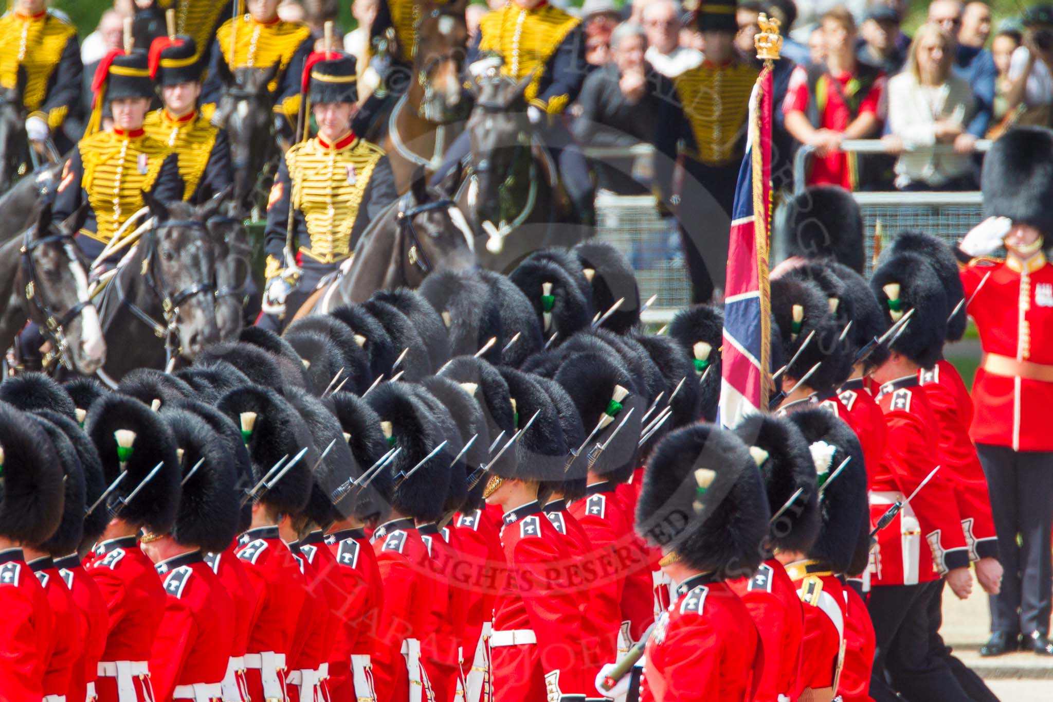 The Colonel's Review 2013: No. 1 Guard (Escort for the Colour),1st Battalion Welsh Guards, during the March Past in Quick Time. Behind them The King's Troops Royal Horse Arttillery..
Horse Guards Parade, Westminster,
London SW1,

United Kingdom,
on 08 June 2013 at 11:41, image #679