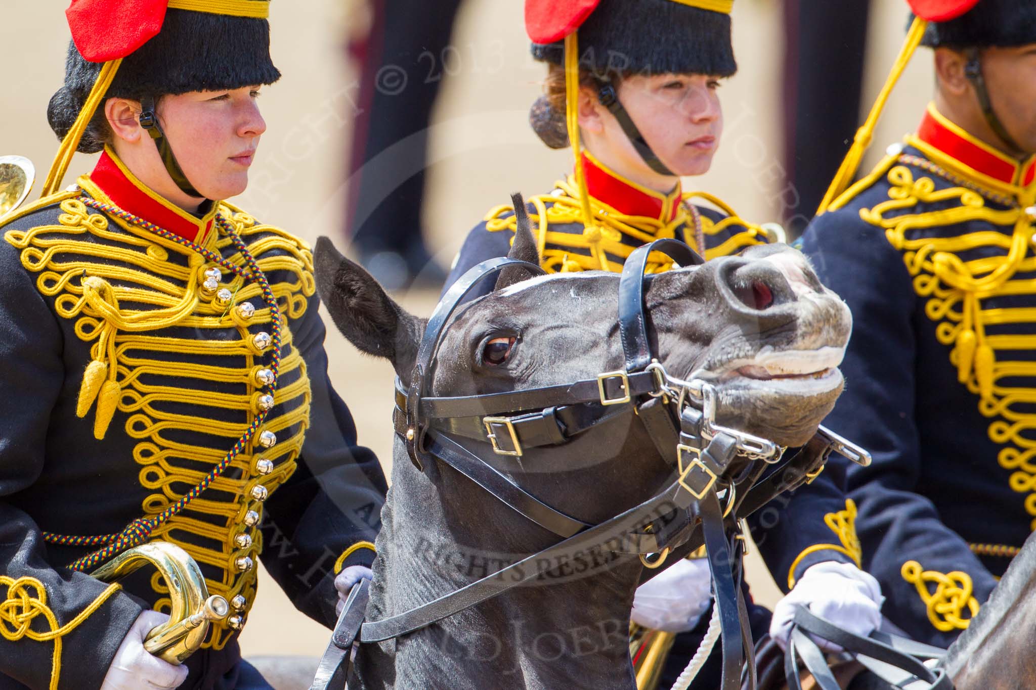 The Colonel's Review 2013: The Ride Past - the King's Troop Royal Horse Artillery..
Horse Guards Parade, Westminster,
London SW1,

United Kingdom,
on 08 June 2013 at 11:52, image #733