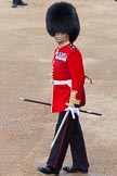 Photo 1306081004585D27865HaraldJoergens The Colonel's Review 2013.
Horse Guards Parade, Westminster,
London SW1,
United Kingdom,
on 08 June 2013 at 10:05, image #34