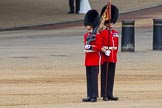 The Colonel's Review 2013: The Keepers of the Ground are in position..
Horse Guards Parade, Westminster,
London SW1,

United Kingdom,
on 08 June 2013 at 10:18, image #73