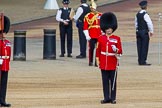 The Colonel's Review 2013: The Keepers of the Ground are in position, and WO1 Garrison Sergeant Major William 'Bill' Mott OBE MVO, Welsh Guards is making sure everything is in perfect order..
Horse Guards Parade, Westminster,
London SW1,

United Kingdom,
on 08 June 2013 at 10:18, image #74