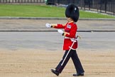 The Colonel's Review 2013: WO1 Garrison Sergeant Major William 'Bill' Mott OBE MVO, Welsh Guards..
Horse Guards Parade, Westminster,
London SW1,

United Kingdom,
on 08 June 2013 at 10:19, image #75