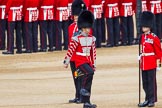 The Colonel's Review 2013: Welsh Guards Drummer approaching Colour Sergeant R J Heath, Welsh Guards, carrying the Colour and the two sentries..
Horse Guards Parade, Westminster,
London SW1,

United Kingdom,
on 08 June 2013 at 10:32, image #141