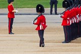 The Colonel's Review 2013.
Horse Guards Parade, Westminster,
London SW1,

United Kingdom,
on 08 June 2013 at 10:33, image #144