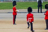 The Colonel's Review 2013.
Horse Guards Parade, Westminster,
London SW1,

United Kingdom,
on 08 June 2013 at 10:33, image #145