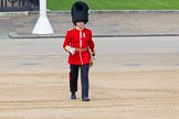 The Colonel's Review 2013: The Subaltern of No. 2 Guard, Captain B Bardsley..
Horse Guards Parade, Westminster,
London SW1,

United Kingdom,
on 08 June 2013 at 10:33, image #146