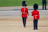 The Colonel's Review 2013: The Subaltern of No. 1 Guard, Captain F O Lloyd-George..
Horse Guards Parade, Westminster,
London SW1,

United Kingdom,
on 08 June 2013 at 10:33, image #147