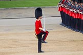 The Colonel's Review 2013.
Horse Guards Parade, Westminster,
London SW1,

United Kingdom,
on 08 June 2013 at 10:33, image #148