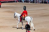 The Colonel's Review 2013: The Adjutant of the Parade, Captain C J P Davies, Welsh Guards..
Horse Guards Parade, Westminster,
London SW1,

United Kingdom,
on 08 June 2013 at 10:35, image #163
