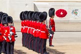 The Colonel's Review 2013: No. 3 Guard, 1st Battalion Welsh Guards, at the gap in the line for members of the Royal Family..
Horse Guards Parade, Westminster,
London SW1,

United Kingdom,
on 08 June 2013 at 10:50, image #218