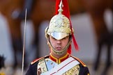 The Colonel's Review 2013.
Horse Guards Parade, Westminster,
London SW1,

United Kingdom,
on 08 June 2013 at 11:02, image #335