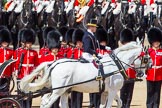 The Colonel's Review 2013: The Queen's Head Coachman, Mark Hargreaves..
Horse Guards Parade, Westminster,
London SW1,

United Kingdom,
on 08 June 2013 at 11:03, image #338