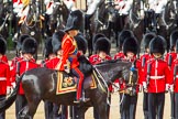 The Colonel's Review 2013: HRH The Prince of Wales, Colonel Welsh Guards..
Horse Guards Parade, Westminster,
London SW1,

United Kingdom,
on 08 June 2013 at 11:03, image #339