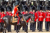 The Colonel's Review 2013: HRH The Prince of Wales, Colonel Welsh Guards..
Horse Guards Parade, Westminster,
London SW1,

United Kingdom,
on 08 June 2013 at 11:03, image #340