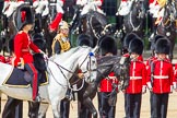 The Colonel's Review 2013.
Horse Guards Parade, Westminster,
London SW1,

United Kingdom,
on 08 June 2013 at 11:03, image #341