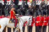 The Colonel's Review 2013: The Crown Equerry Colonel Toby Browne
Equerry in Waiting to Her Majesty, Lieutenant Colonel Alexander Matheson of Matheson, younger, during the Inspection of the Line..
Horse Guards Parade, Westminster,
London SW1,

United Kingdom,
on 08 June 2013 at 11:03, image #342