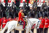 The Colonel's Review 2013: The Crown Equerry Colonel Toby Browne
Equerry in Waiting to Her Majesty, Lieutenant Colonel Alexander Matheson of Matheson, younger, during the Inspection of the Line..
Horse Guards Parade, Westminster,
London SW1,

United Kingdom,
on 08 June 2013 at 11:03, image #343